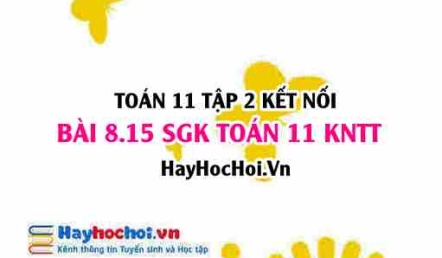 Bài 8.15 SGK Toán 11 Tập 2 Kết nối tri thức